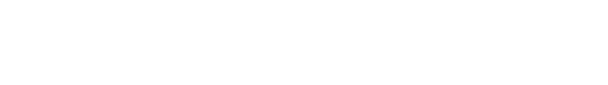 staufen-valuestreamer-logo-weiss