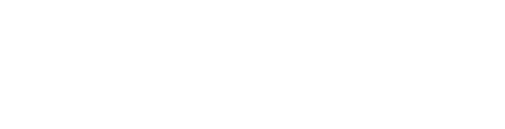 ValueStreamer-Kunde-Palfinger